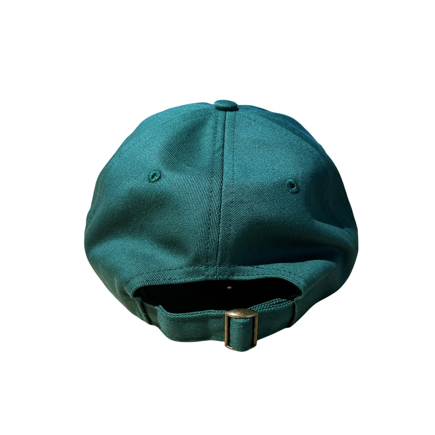 Hawaii Logo Cap