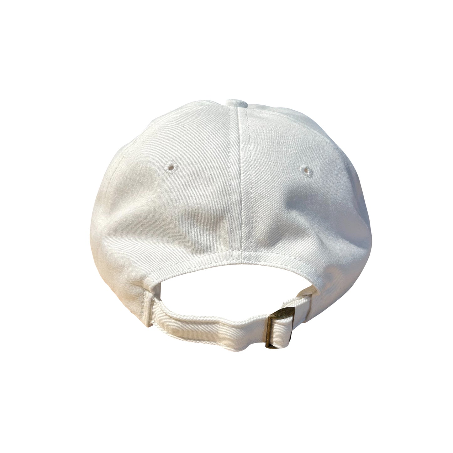 Hawaii Logo Cap